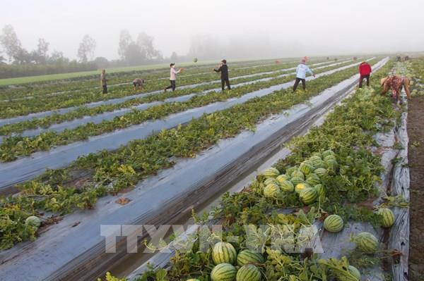 Hậu Giang củng cố các đơn vị có chất lượng tín dụng thấp, chưa ổn định