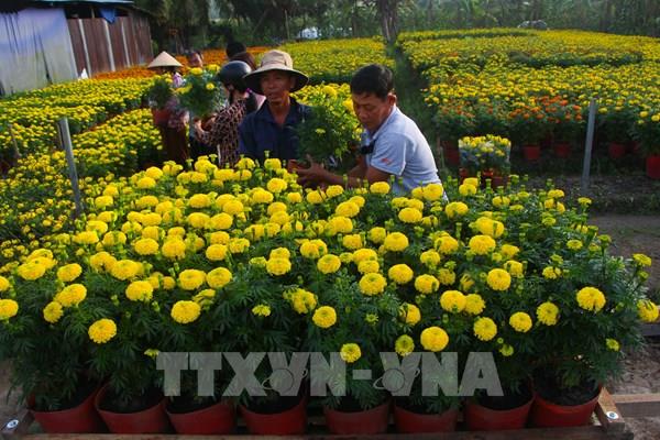 Ấn tượng Hậu Giang