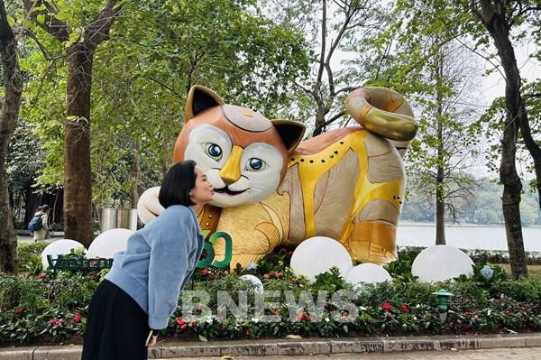 Cùng check-in với các chú mèo dễ thương ở Hà Nội