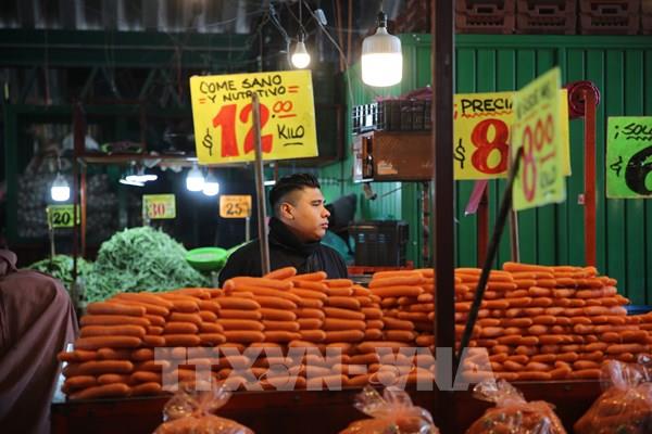 Mexico sắp khởi công hệ thống điện mặt trời tại chợ đầu mối lớn nhất thế giới
