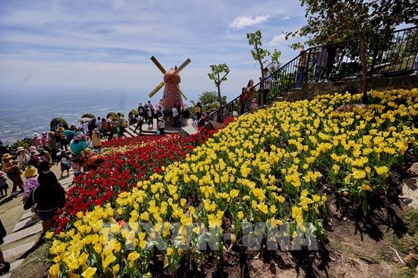 Sắc xuân trên đỉnh núi Bà Đen - Tây Ninh