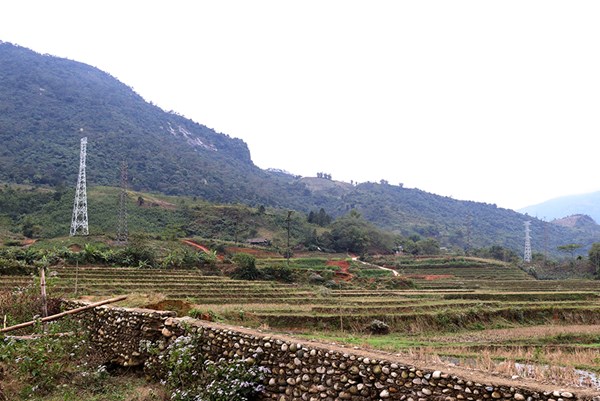 Gỡ vướng mắc trong chuyển đổi mục đích sử dụng rừng