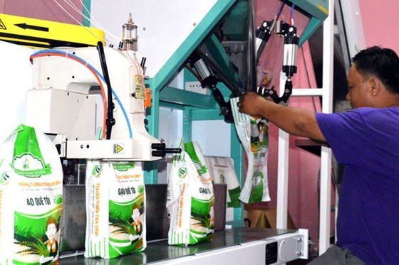 “Gạo Quê tôi” xuất khẩu sang Trung Quốc và sẽ xuất sang một số nước khác