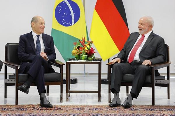 Đức cam kết hỗ trợ 217 triệu USD để bảo vệ rừng nhiệt đới Amazon tại Brazil