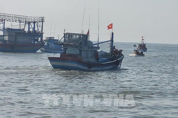 Ngư dân tất bật chuyến biển đầu năm