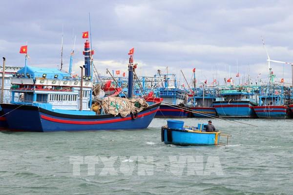 Nhiều tàu thuyền của ngư dân Ninh Thuận phải nằm bờ vì thời tiết bất lợi