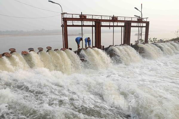 Trên 78% diện tích ở Trung du và Đồng bằng Bắc Bộ đủ nước cho gieo cấy