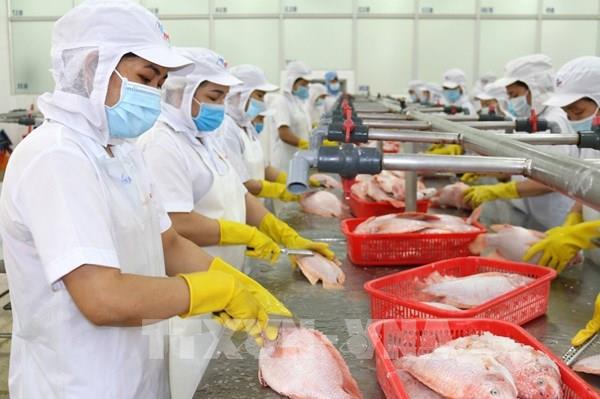 TP. Hồ Chí Minh: Hơn 95% người lao động đã quay lại nhà máy, xí nghiệp