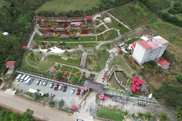 Phú Yên yêu cầu dừng các hoạt động du lịch tự phát tại huyện Tuy An