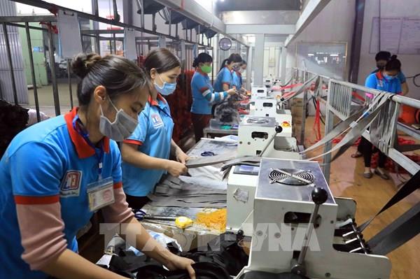 Thành phố Hồ Chí Minh giải quyết việc làm cho hơn 242.800 lượt người