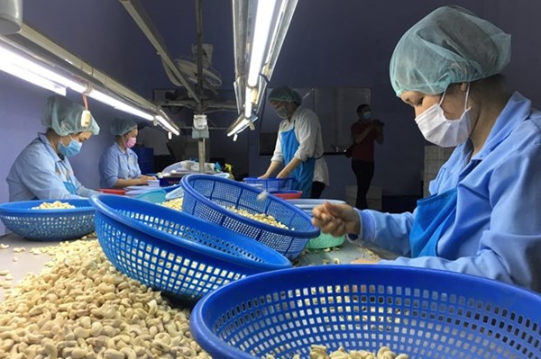 Chuyên gia Ấn Độ đánh giá tích cực về tốc độ tăng trưởng của kinh tế Việt Nam