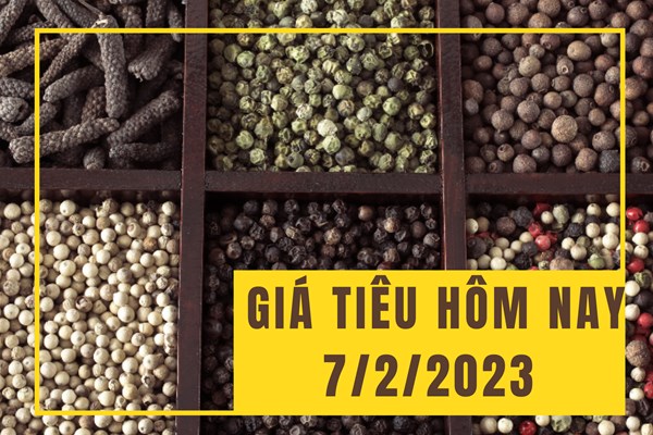 Giá tiêu hôm nay 7/2: Bật tăng trở lại