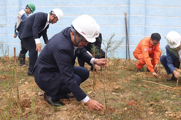 EVN phát động Tết trồng cây năm 2023