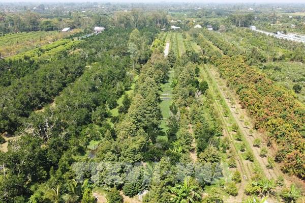 Bảng giá đất tỉnh Đồng Tháp năm 2023 cập nhật mới nhất
