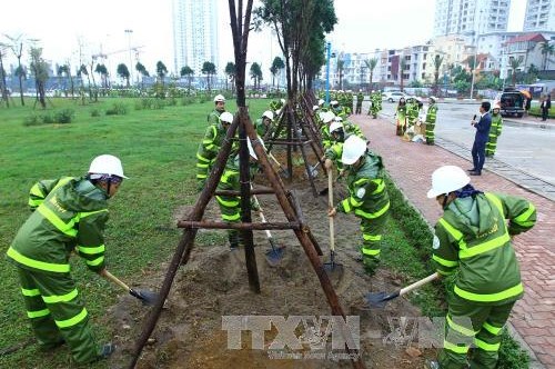 Hà Nội sẽ trồng mới 500.000 cây xanh và chỉnh trang đô thị