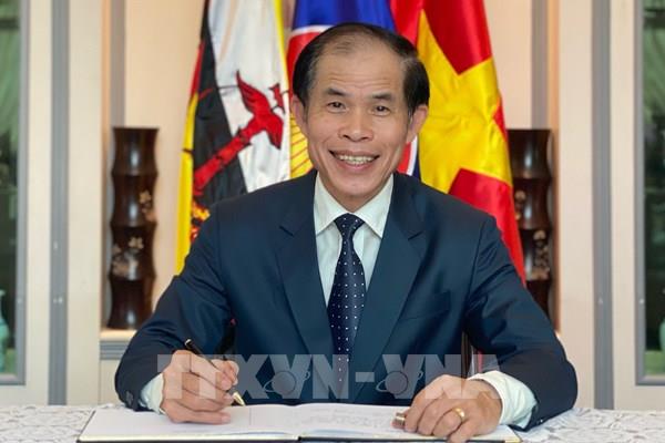 Việt Nam và Brunei thúc đẩy quan hệ Đối tác toàn diện