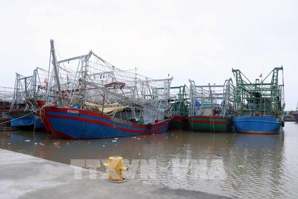 Thiếu thuyền viên, hàng trăm tàu cá nằm bờ