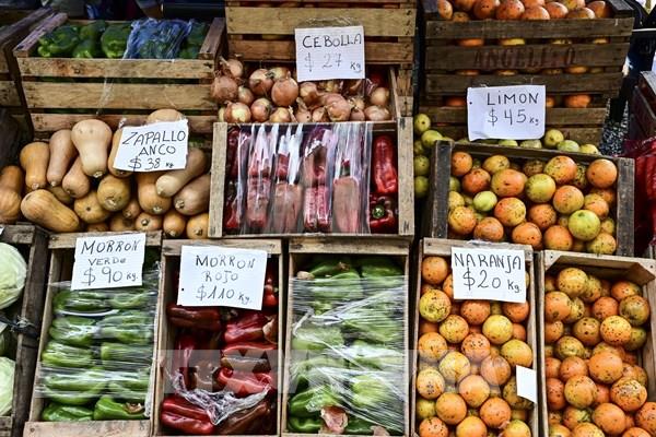 Xuất khẩu nông sản của Argentina lập kỷ lục mới trong năm 2022