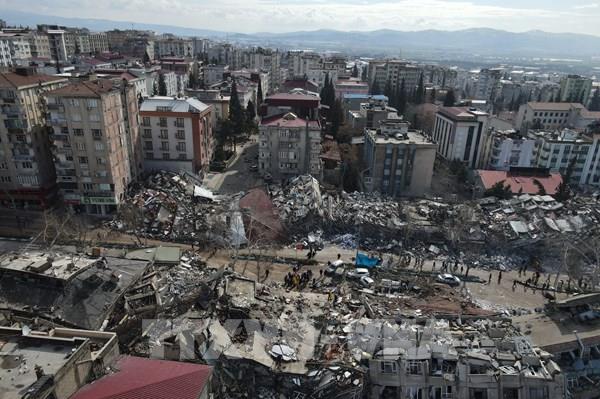 WHO cử chuyên gia và vật tư y tế hỗ trợ công tác cứu hộ