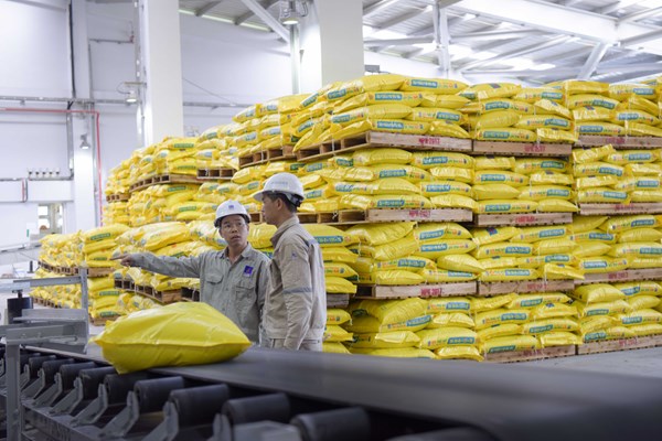 Giá bán phân bón liệu có giảm khi áp thuế giá trị gia tăng 5%
