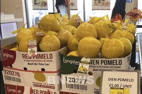 Xuất khẩu rau quả tăng tốc