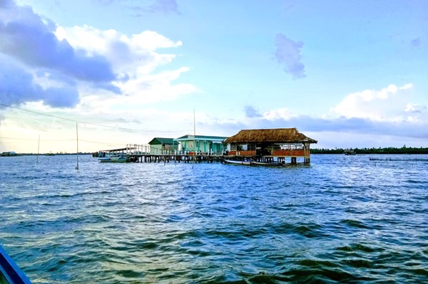 Cà Mau yêu cầu khắc phục tình trạng lấn chiếm vào các khu vực Đầm Thị Tường