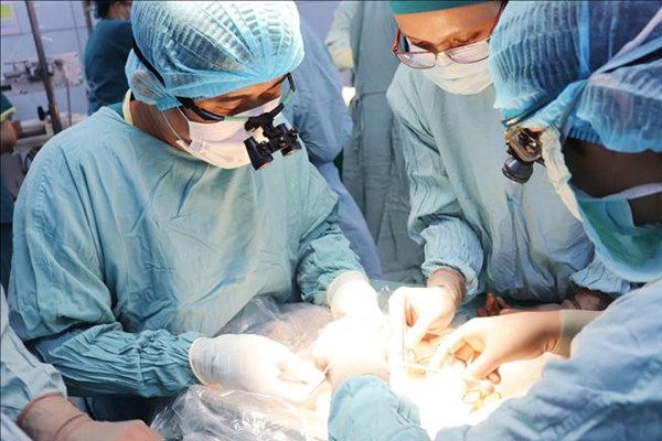 Sở Y tế Thành phố Hồ Chí Minh yêu cầu không gián đoạn việc ghép gan cho trẻ em​