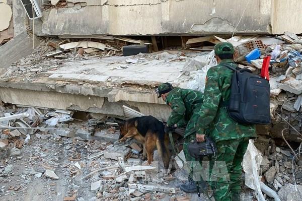 Động đất tại Thổ Nhĩ Kỳ và Syria: Đội chó nghiệp vụ của quân đội Việt Nam "lập công"