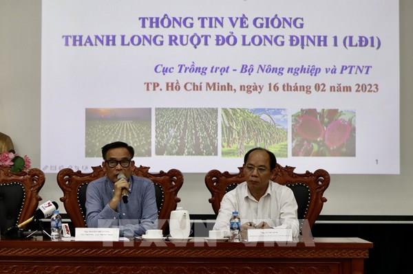 Tìm giải pháp hài hòa lợi ích từ giống thanh long Long Định 1