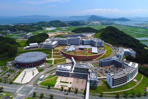 Nhật Bản ghép thành công tế bào tim làm từ tế bào đa năng cảm ứng