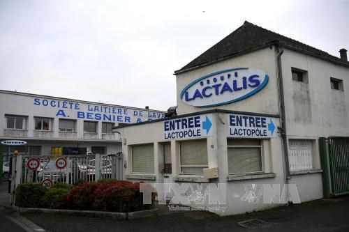 Vụ sữa bột nhiễm khuẩn ở Pháp: Cục An toàn thực phẩm thông tin cho người tiêu dùng