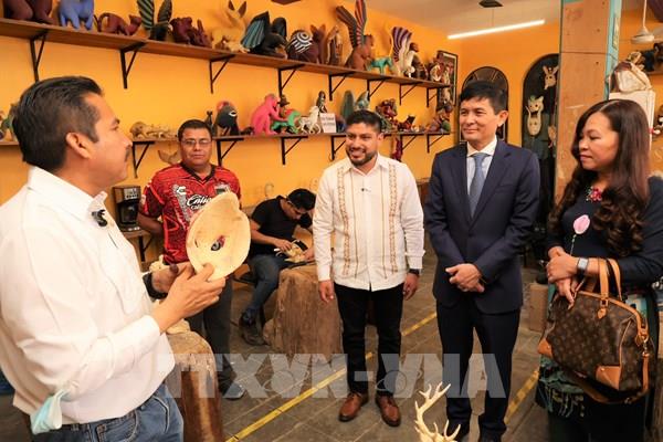 Việt Nam tìm kiếm cơ hội hợp tác với các địa phương của Mexico