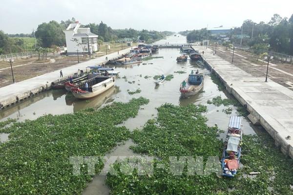 Sóc Trăng ứng phó với mặn xâm nhập vào nội đồng