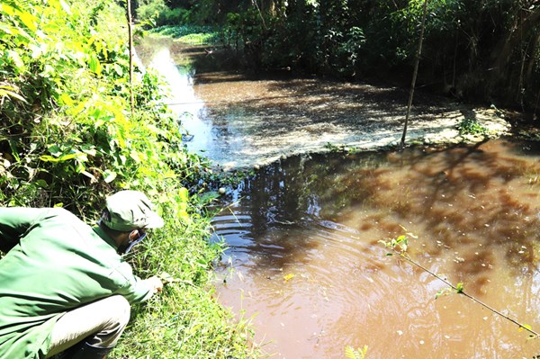 Lâm Đồng xử lý dứt điểm ô nhiễm môi trường suối Đạ Gùi