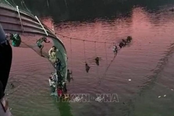 Sập cầu treo tại miền Nam Brazil, hàng chục người bị thương và mất tích