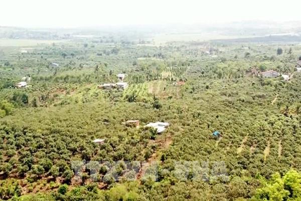 Phê duyệt dự án hồ thủy lợi lớn nhất Đắk Nông