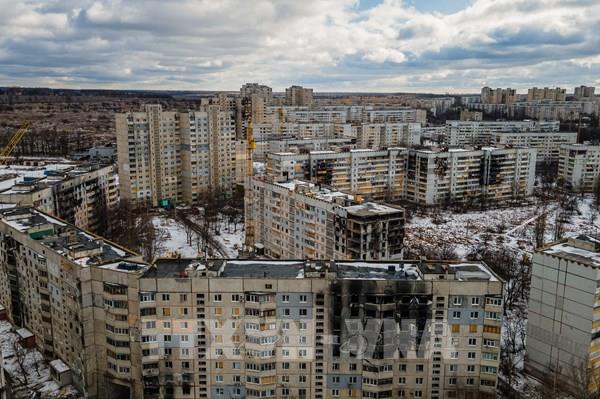 Đức khẳng định EU tiếp tục hỗ trợ Ukraine