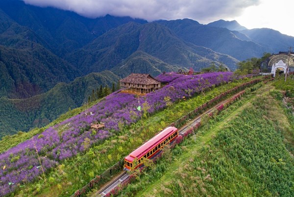 Sa Pa và hơn một thế kỷ “vén mây mù để thấy trời xanh”