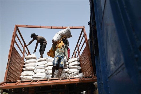Ấn Độ gia hạn lệnh cấm xuất khẩu gạo tấm