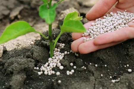 Tarafert đầu tư 1,5 tỷ USD sản xuất phân bón tại Mexico