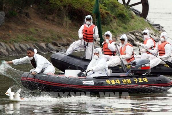 Những cảnh báo ban đầu về khả năng lây lan virus H5N1 ở người