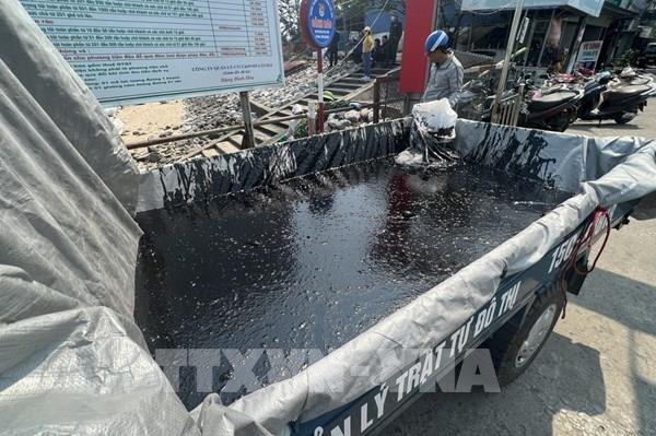 Gần 31 ha đất rừng Cần Giờ bị dầu loang, thiệt hại hơn 3,3 tấn thủy sản