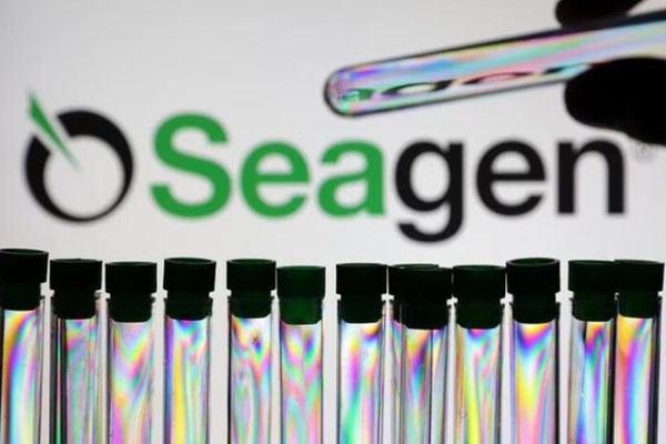 Pfizer bắt đầu đàm phán mua lại hãng dược phẩm Seagen