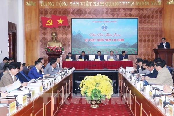 Bàn giải pháp phát triển Sâm Lai Châu