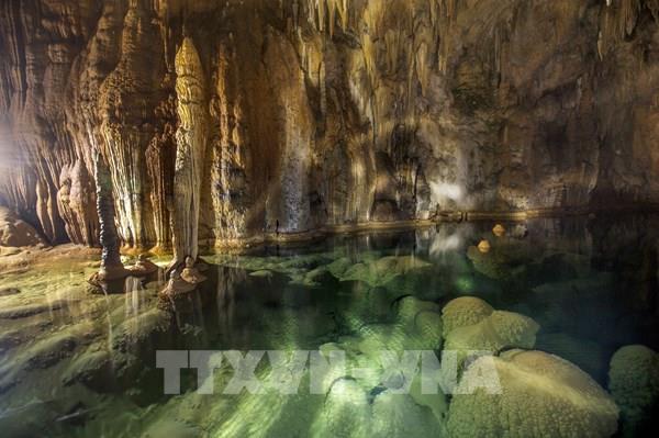 Vẻ đẹp hoang sơ của động Nam Sơn