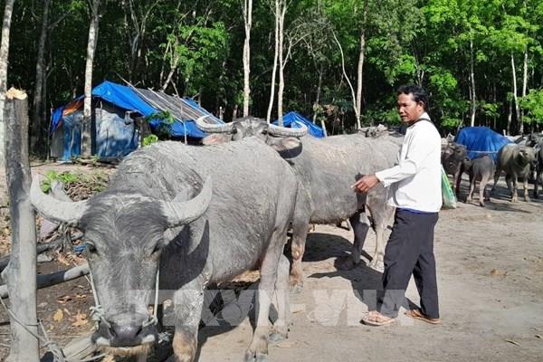 Nhiều chính sách hỗ trợ phù hợp giúp bà con vùng biên thoát nghèo bền vững
