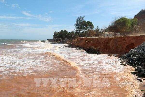 Sóng to, gió lớn gây xâm thực, sạt lở bờ biển tại Bình Thuận