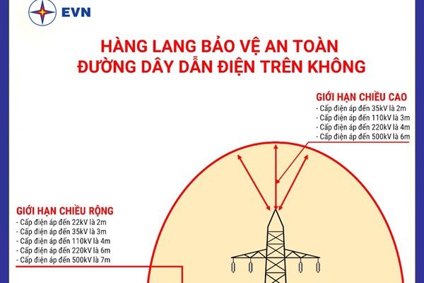 Vẫn còn nhiều vi phạm an toàn lưới điện