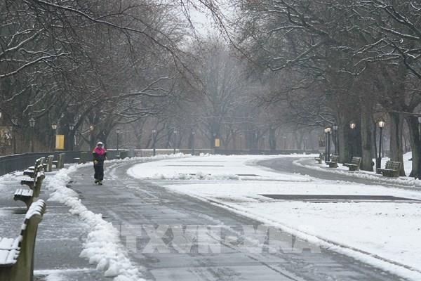 Mỹ: Ít nhất 9 người thiệt mạng vì bão ở miền Nam