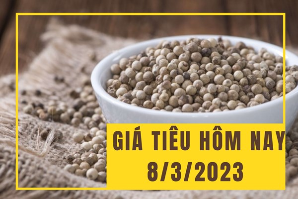 Xuất khẩu hạt tiêu của Việt Nam sẽ tiếp tục đối mặt với khó khăn